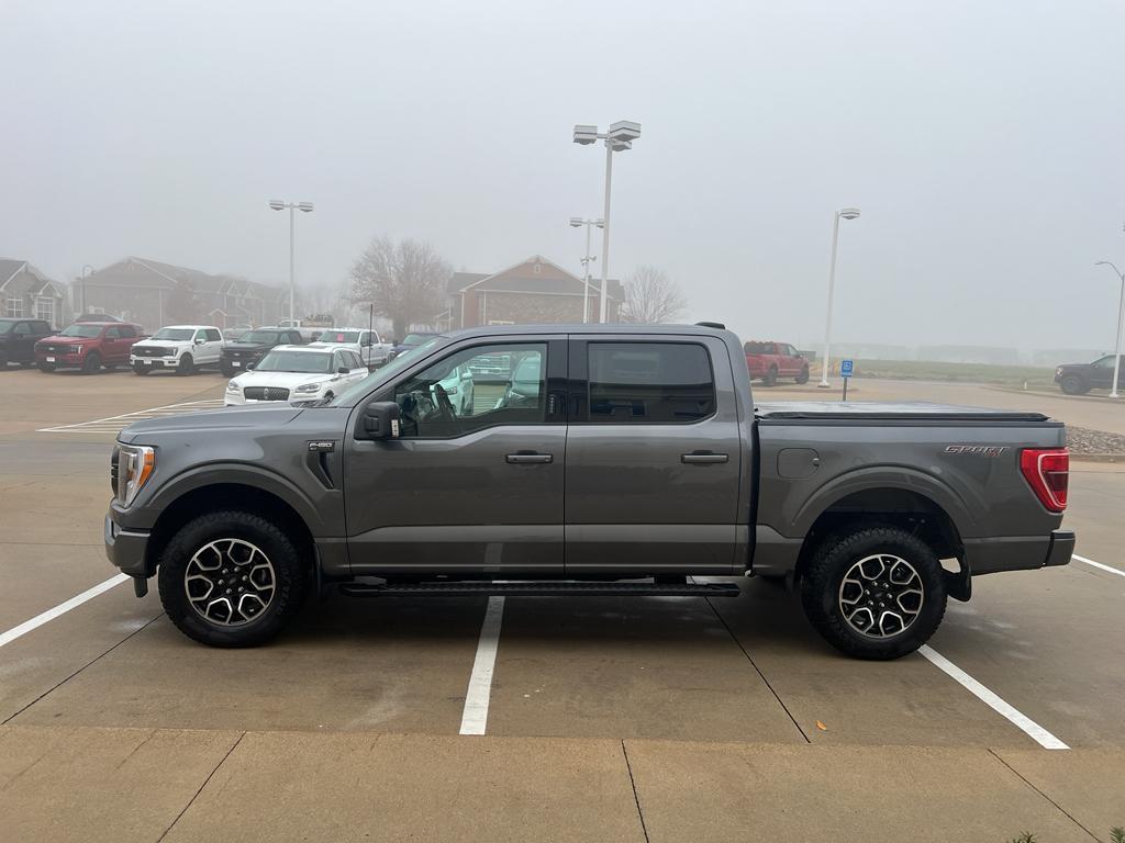 used 2023 Ford F-150 car, priced at $44,831