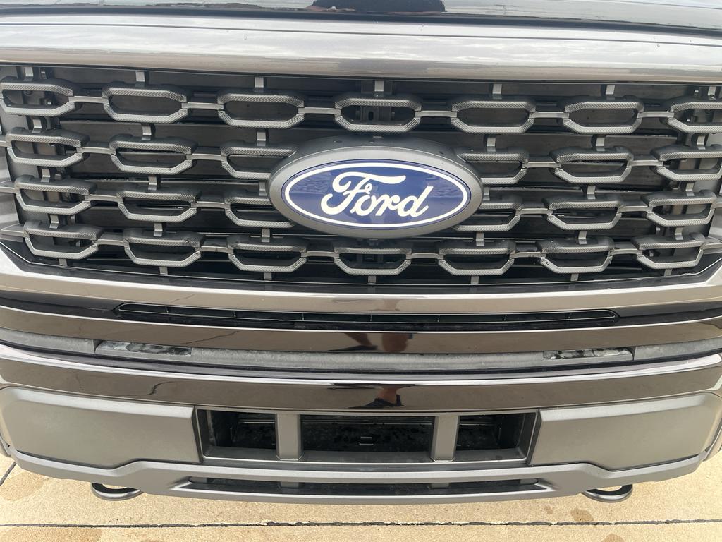 new 2025 Ford F-150 car, priced at $48,917