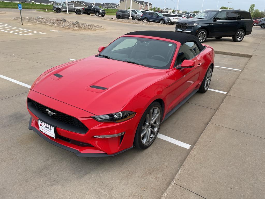 used 2019 Ford Mustang car, priced at $24,985