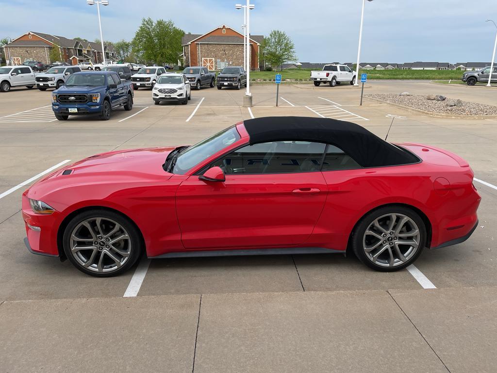 used 2019 Ford Mustang car, priced at $24,985