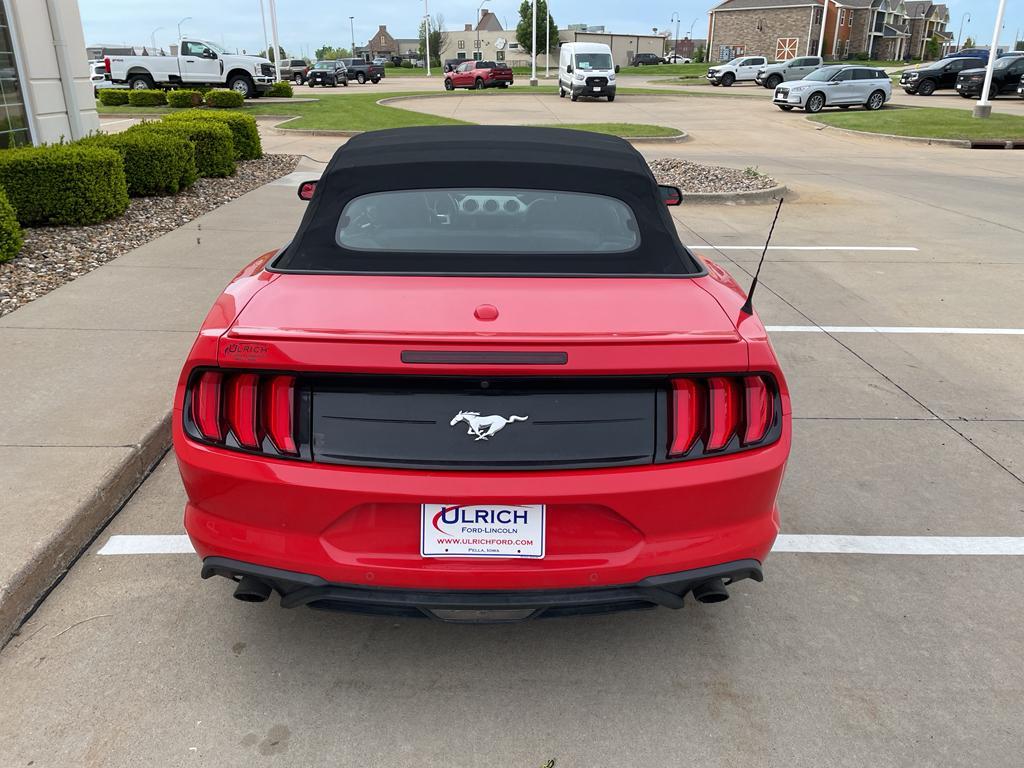 used 2019 Ford Mustang car, priced at $24,985