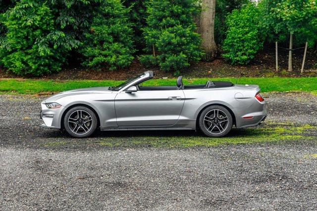 used 2022 Ford Mustang car, priced at $18,495