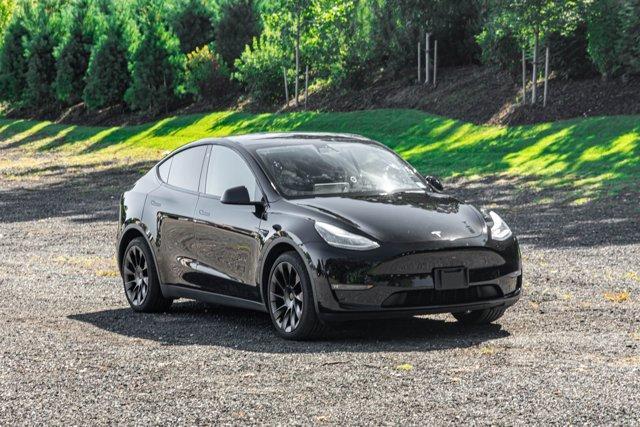 used 2021 Tesla Model Y car, priced at $20,695