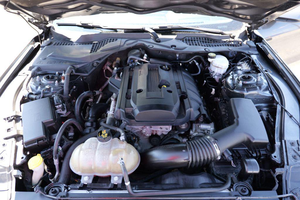 used 2019 Ford Mustang car, priced at $21,995