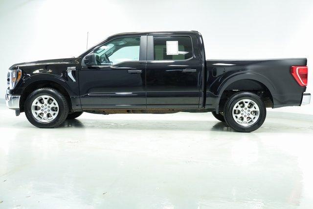 used 2023 Ford F-150 car, priced at $31,000