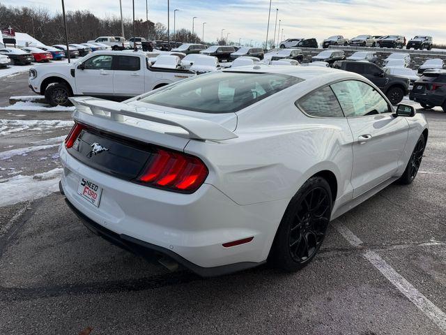 used 2019 Ford Mustang car