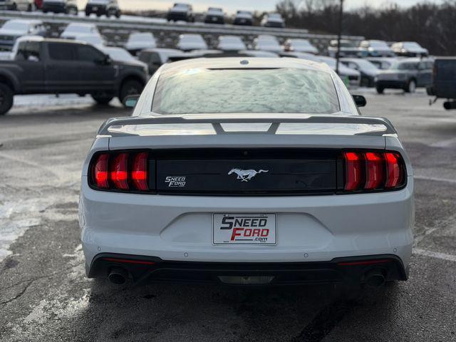 used 2019 Ford Mustang car