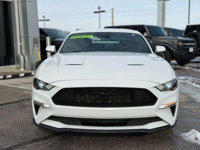 used 2019 Ford Mustang car