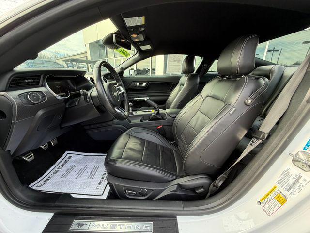 used 2019 Ford Mustang car