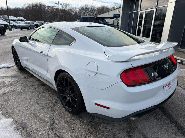 used 2019 Ford Mustang car