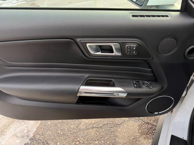 used 2019 Ford Mustang car