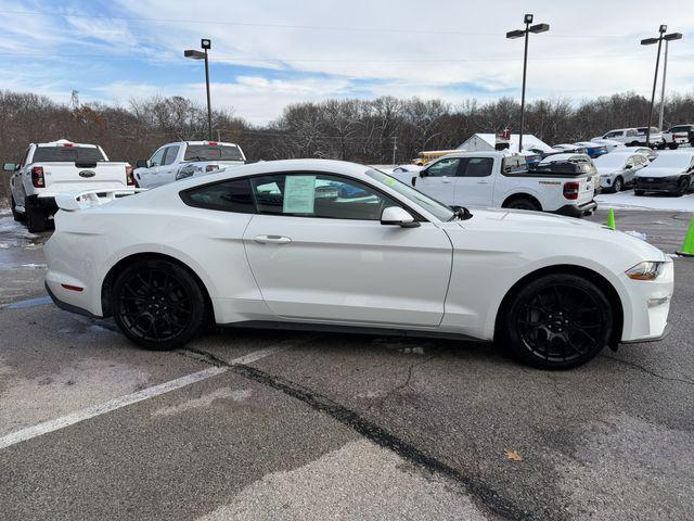 used 2019 Ford Mustang car