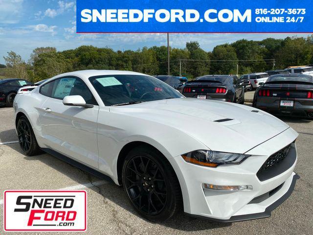 used 2019 Ford Mustang car