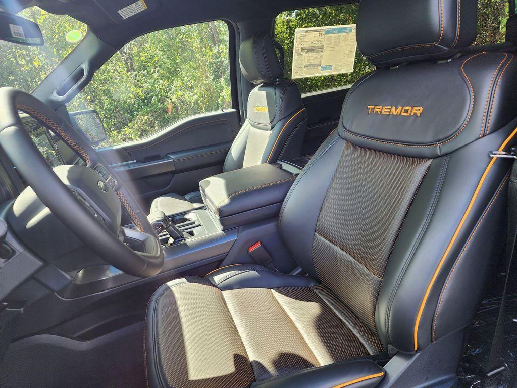 new 2025 Ford F-150 car