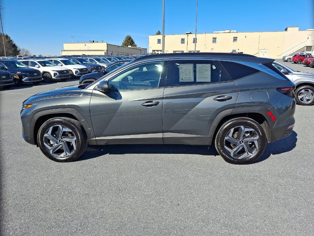 used 2024 Hyundai TUCSON Hybrid car, priced at $36,498