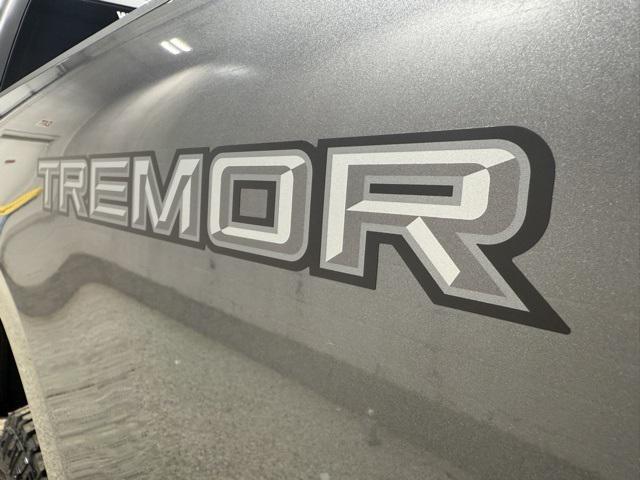 new 2025 Ford F-250 car, priced at $94,400