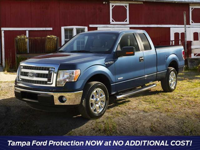 used 2013 Ford F-150 car