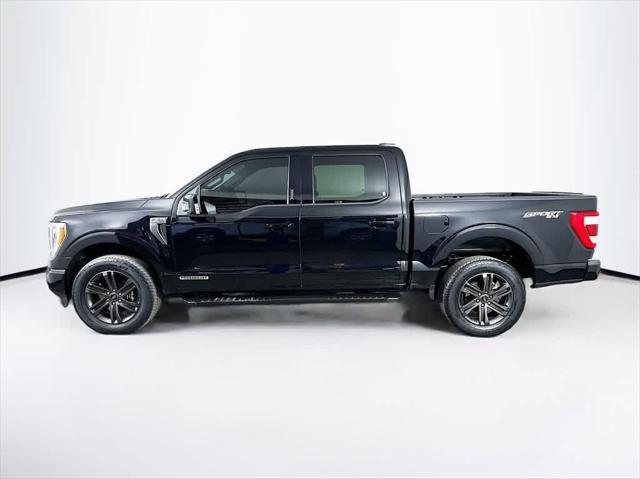 used 2021 Ford F-150 car