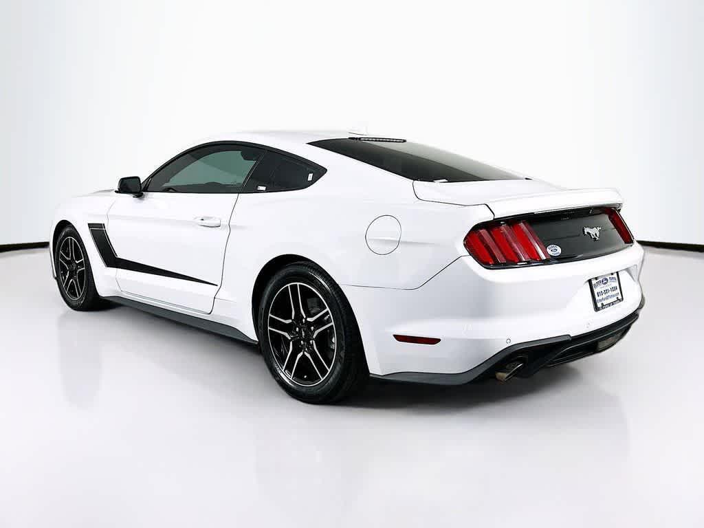 used 2022 Ford Mustang car