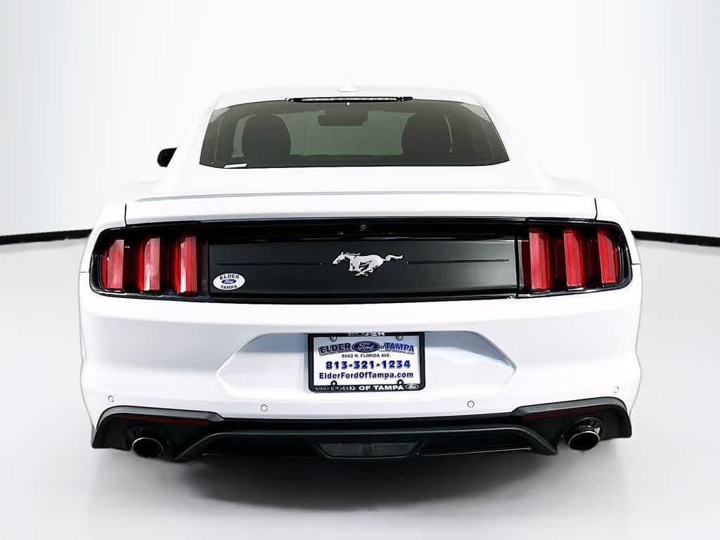 used 2022 Ford Mustang car