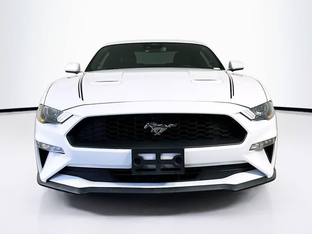 used 2022 Ford Mustang car