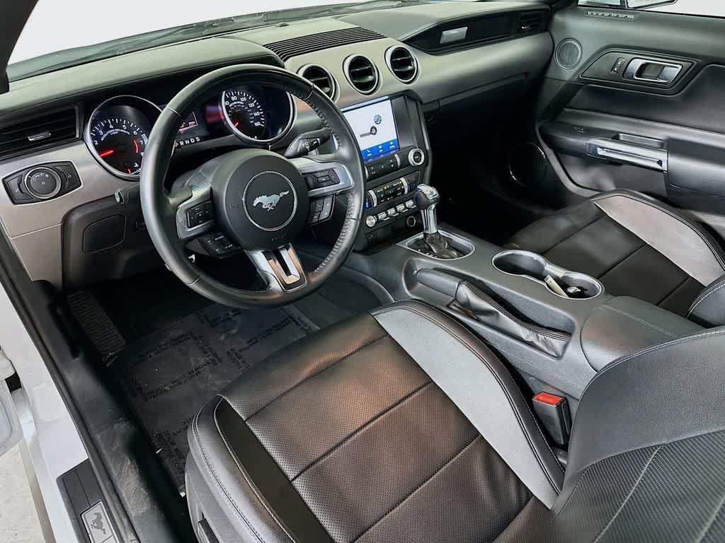 used 2022 Ford Mustang car