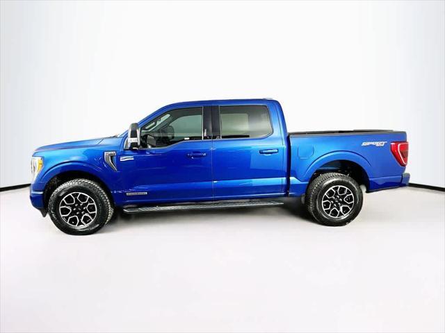 used 2022 Ford F-150 car