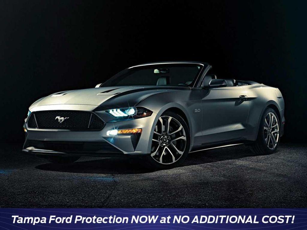 used 2019 Ford Mustang car