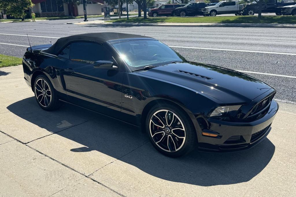 used 2014 Ford Mustang car