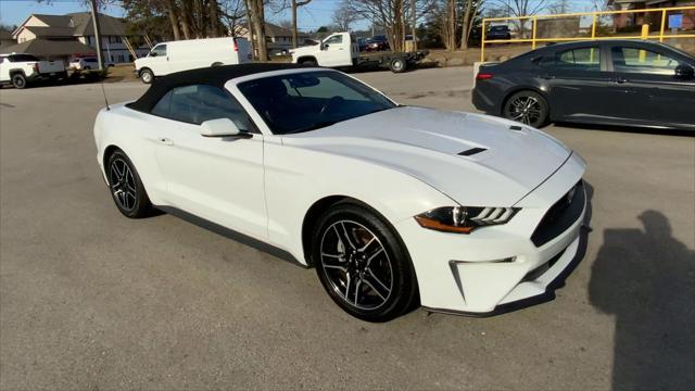 used 2022 Ford Mustang car, priced at $24,343