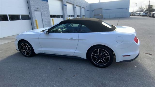 used 2022 Ford Mustang car, priced at $24,343