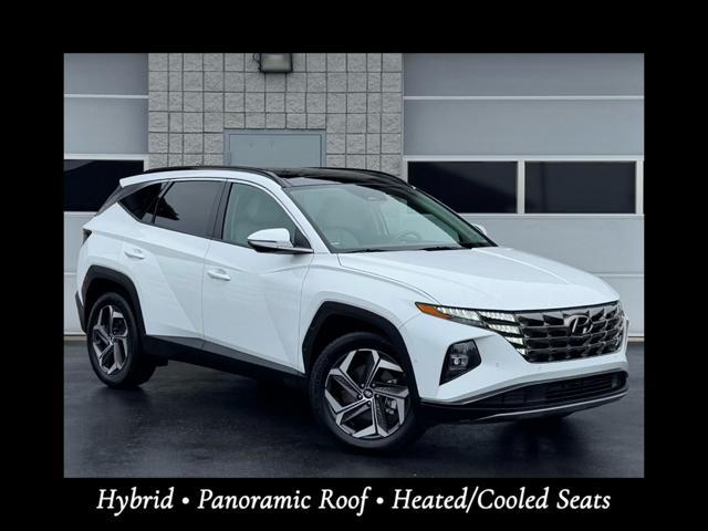 used 2023 Hyundai Tucson Hybrid car, priced at $31,987