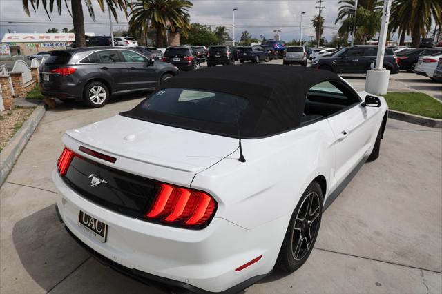 used 2019 Ford Mustang car, priced at $16,995