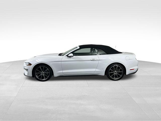 used 2019 Ford Mustang car, priced at $20,516