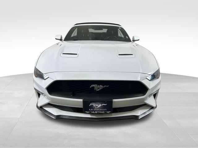 used 2019 Ford Mustang car, priced at $20,516
