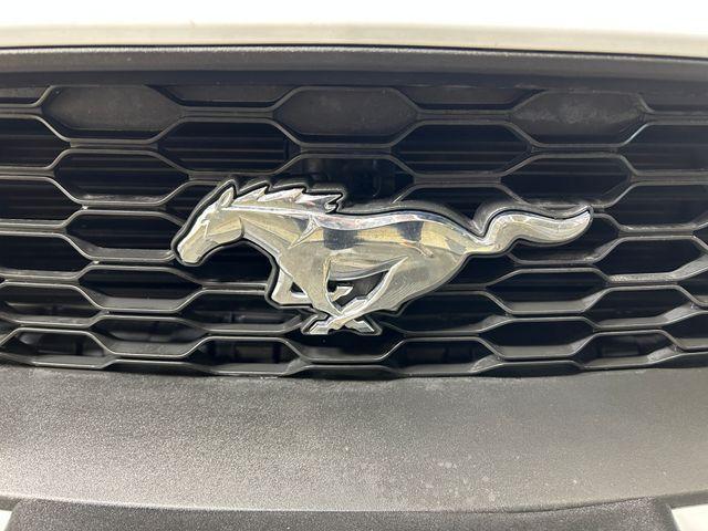 used 2019 Ford Mustang car, priced at $20,516