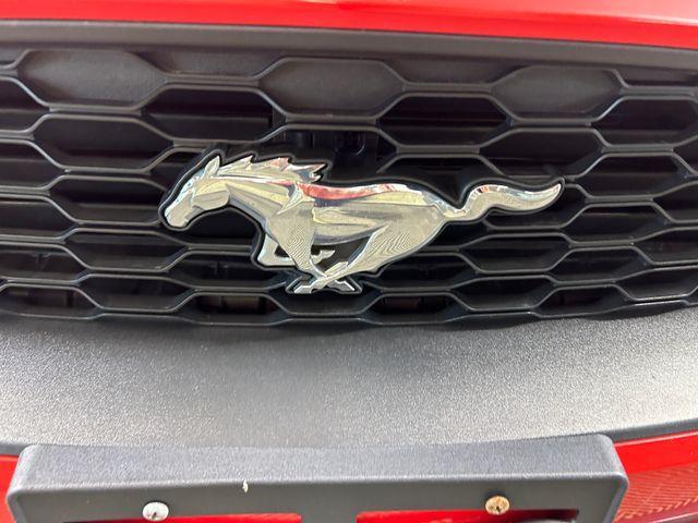 used 2020 Ford Mustang car, priced at $19,995