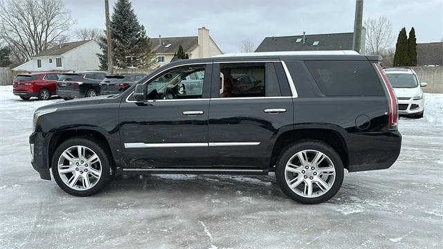 used 2019 Cadillac Escalade car, priced at $41,100