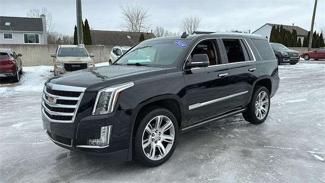 used 2019 Cadillac Escalade car, priced at $41,100