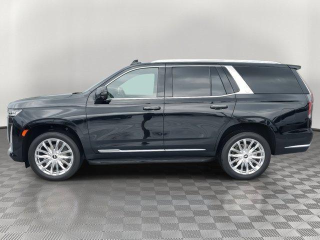 used 2022 Cadillac Escalade car