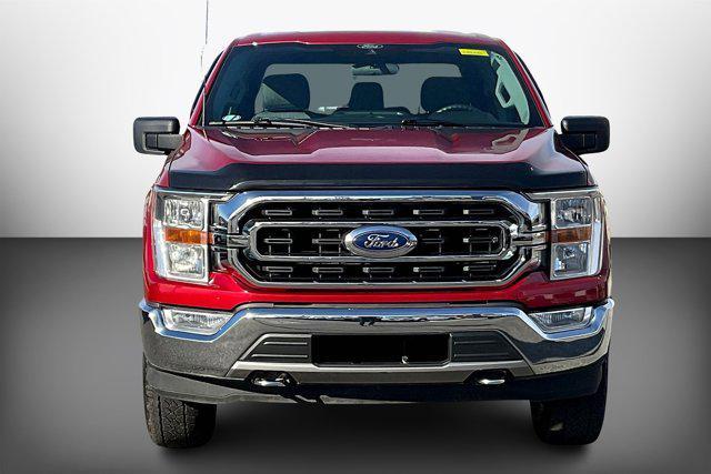 used 2021 Ford F-150 car, priced at $36,990