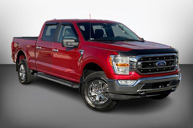 used 2021 Ford F-150 car, priced at $36,990