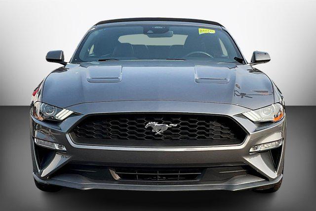 used 2021 Ford Mustang car, priced at $21,999