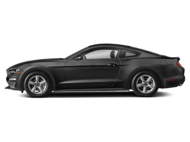 used 2021 Ford Mustang car