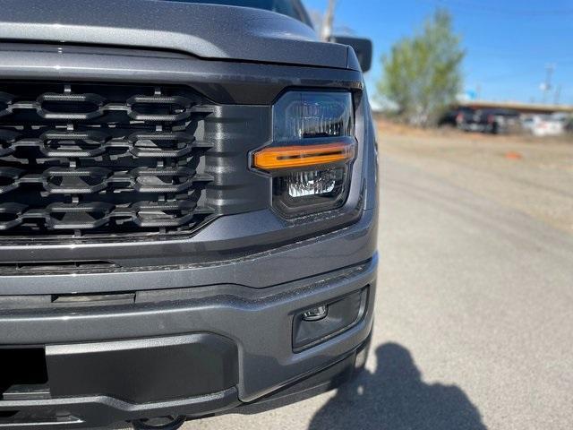 new 2025 Ford F-150 car, priced at $47,213