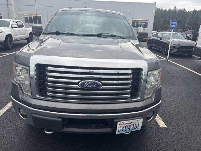 used 2010 Ford F-150 car