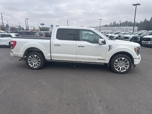 used 2023 Ford F-150 car, priced at $53,989