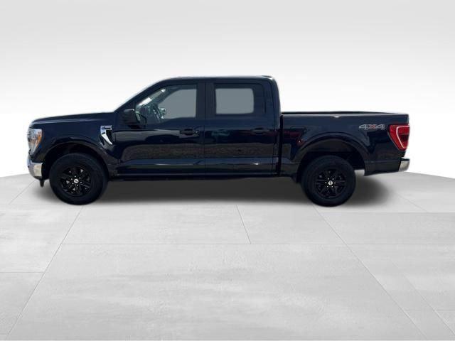 used 2021 Ford F-150 car, priced at $33,000