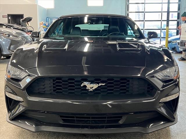 used 2023 Ford Mustang car, priced at $22,895