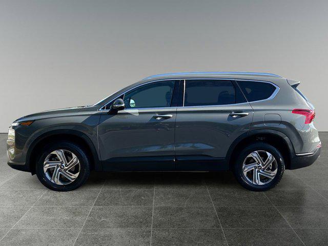 used 2023 Hyundai Santa Fe car, priced at $23,888